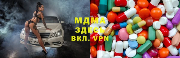 крисы Кулебаки