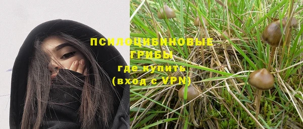 МДПВ Кукмор