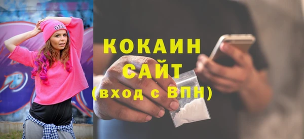 шишки Краснотурьинск