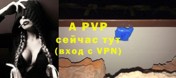 МДПВ Кукмор