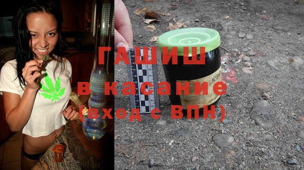 крисы Кулебаки