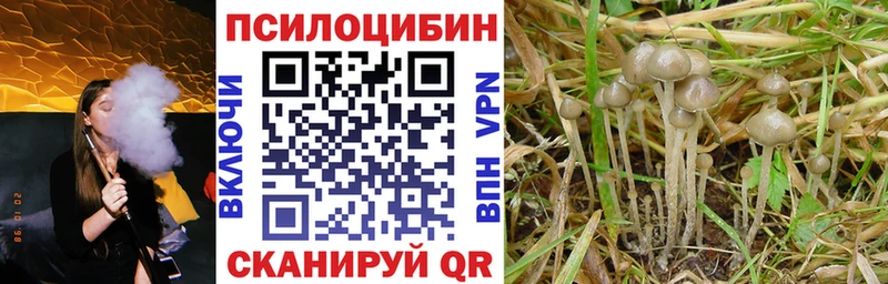 Купить где  Новоалтайск  Галлюциногенные грибы ЛСД 